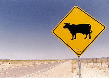 管理策略游戏《Dust Raiders》Steam页面上线 支持简体中文